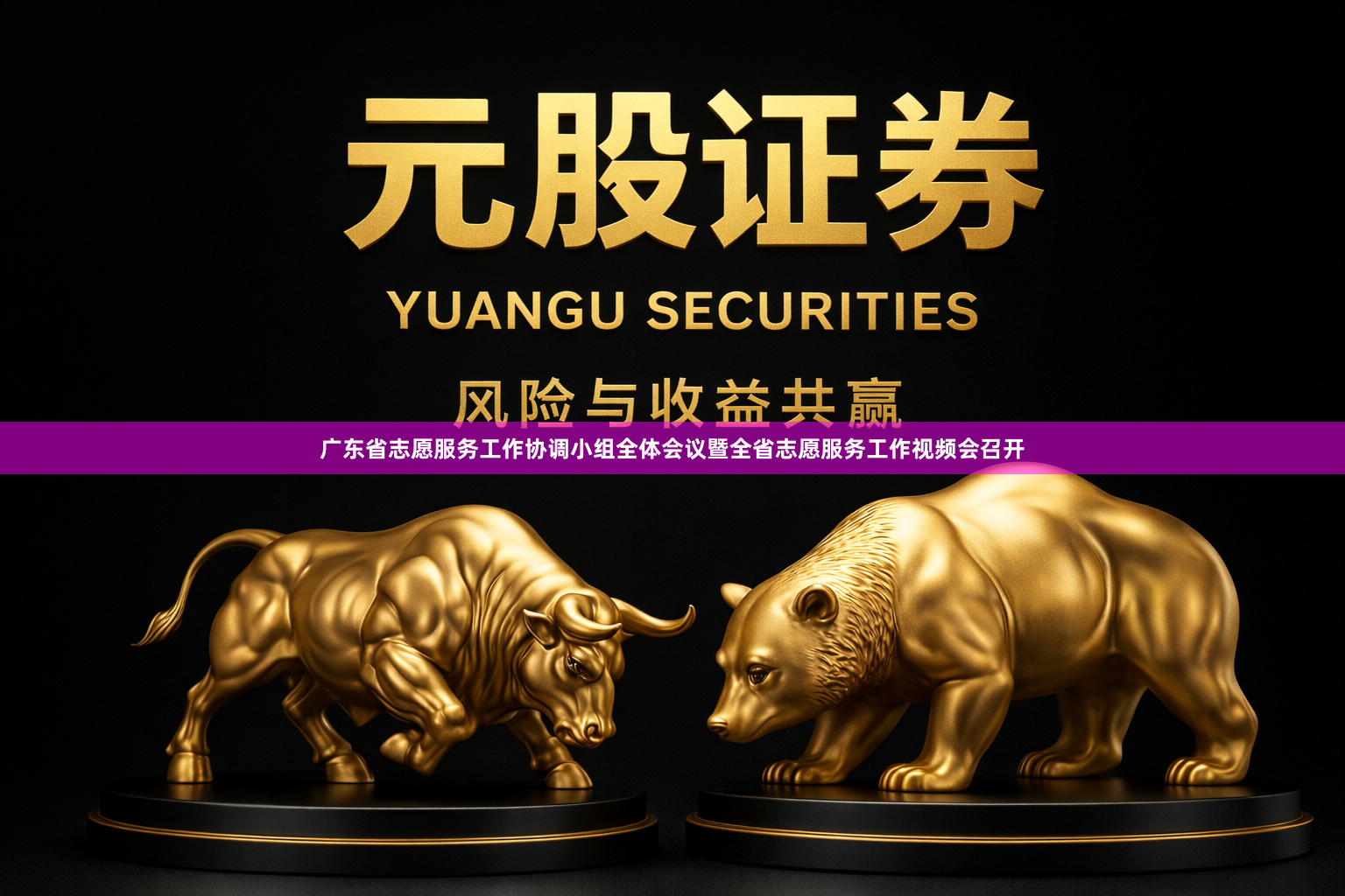 广东省志愿服务工作协调小组全体会议暨全省志愿服务工作视频会召开
