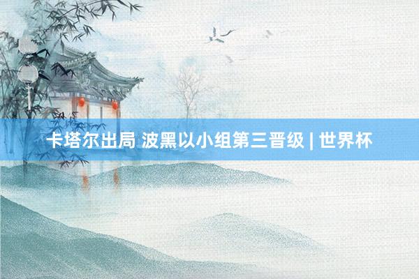 卡塔尔出局 波黑以小组第三晋级 | 世界杯