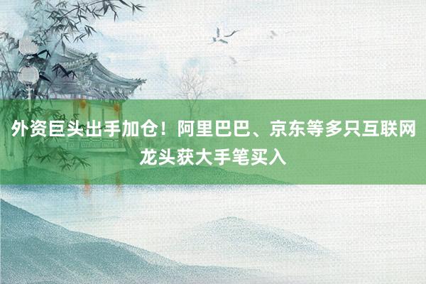 外资巨头出手加仓！阿里巴巴、京东等多只互联网龙头获大手笔买入