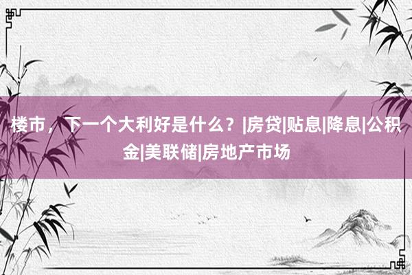 楼市，下一个大利好是什么？|房贷|贴息|降息|公积金|美联储|房地产市场