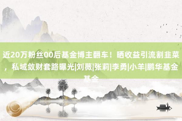 近20万粉丝00后基金博主翻车！晒收益引流割韭菜，私域敛财套路曝光|刘薇|张莉|李勇|小羊|鹏华基金
