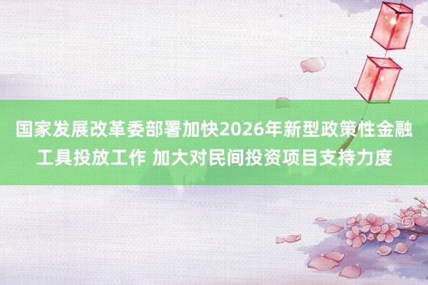 国家发展改革委部署加快2026年新型政策性金融工具投放工作 加大对民间投资项目支持力度