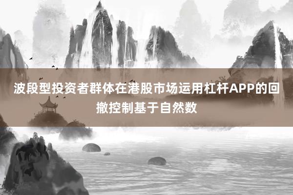 波段型投资者群体在港股市场运用杠杆APP的回撤控制基于自然数