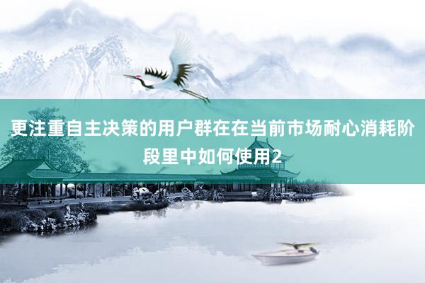 更注重自主决策的用户群在在当前市场耐心消耗阶段里中如何使用2