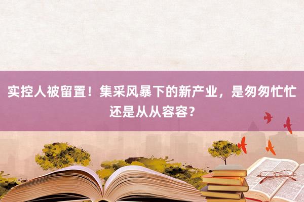 实控人被留置！集采风暴下的新产业，是匆匆忙忙还是从从容容？