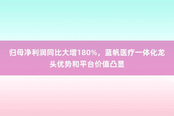 归母净利润同比大增180%，蓝帆医疗一体化龙头优势和平台价值凸显