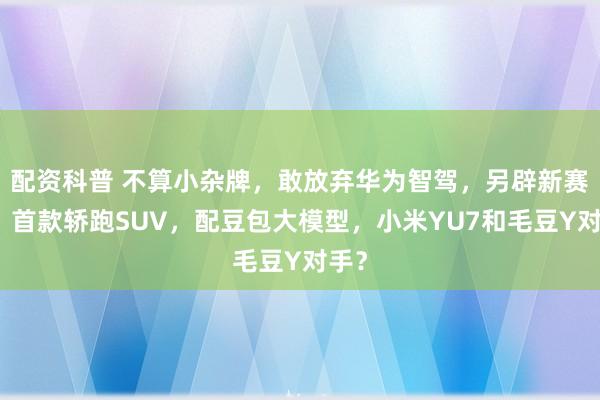 配资科普 不算小杂牌，敢放弃华为智驾，另辟新赛道，首款轿跑SUV，配豆包大模型，小米YU7和毛豆Y对手？