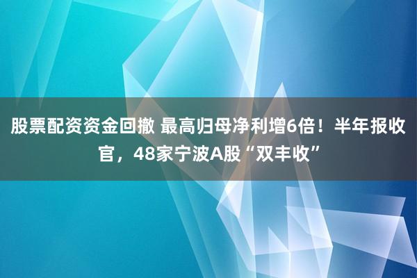 股票配资资金回撤 最高归母净利增6倍！半年报收官，48家宁波A股“双丰收”