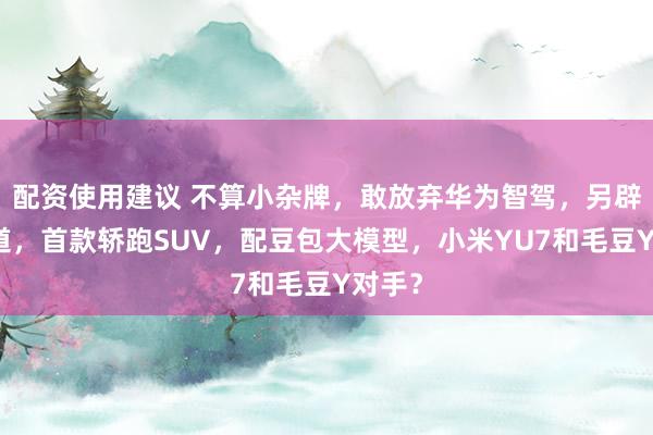 配资使用建议 不算小杂牌，敢放弃华为智驾，另辟新赛道，首款轿跑SUV，配豆包大模型，小米YU7和毛豆Y对手？