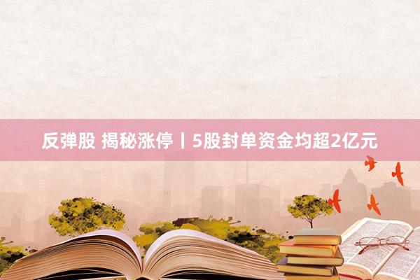 反弹股 揭秘涨停丨5股封单资金均超2亿元