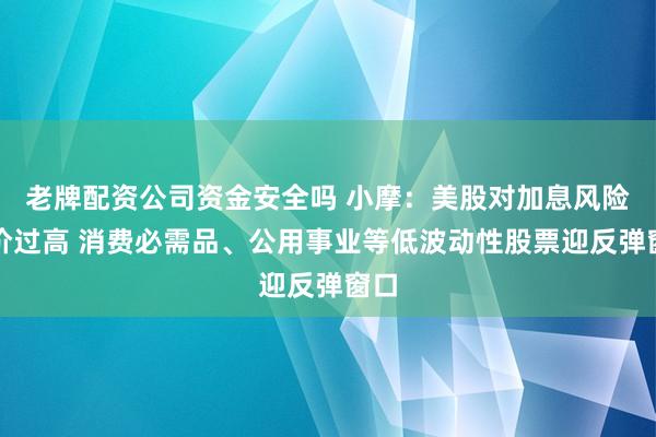 老牌配资公司资金安全吗 小摩：美股对加息风险定价过高 消费必需品、公用事业等低波动性股票迎反弹窗口