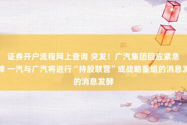 证券开户流程网上查询 突发！广汽集团回应紧急停牌 一汽与广汽将进行“持股联营”或战略重组的消息发酵