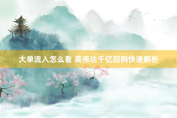 大单流入怎么看 英伟达千亿回购快速解析