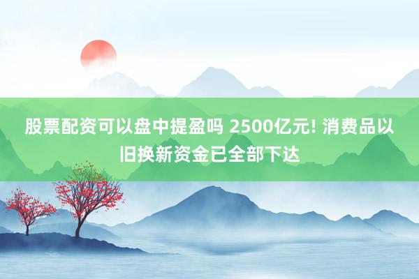 股票配资可以盘中提盈吗 2500亿元! 消费品以旧换新资金已全部下达